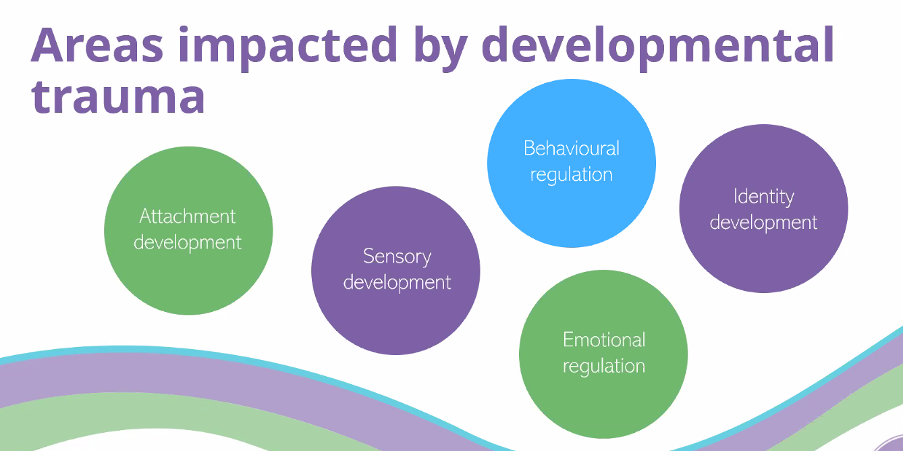 Trauma Informed Practice – Acumist Education